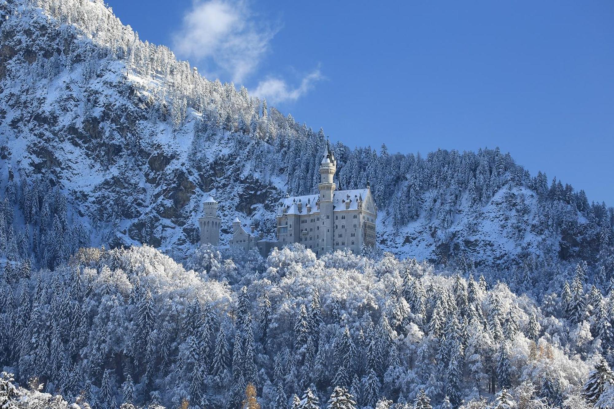 Maximilian Appartements Schwangau Exterior photo